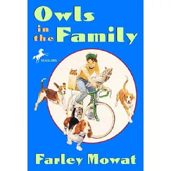 Owls in the family