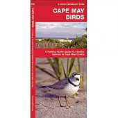 Cape May Birds: A Folding Pocket Guide to Familiar Species in Cape May County