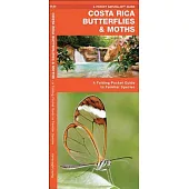 Costa Rica Butterflies & Moths: An Introduction to Familiar Species