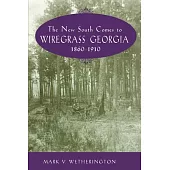 The New South Comes to Wiregrass Georgia, 1860-1910