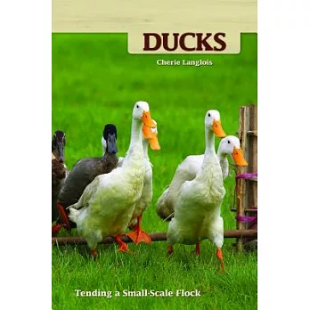 Ducks: Tending a Small-Scale Flock for Pleasure and Profit