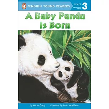 A baby panda is born