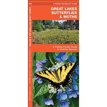 Great Lakes Butterflies & Moths: An Introduction to Familiar Species