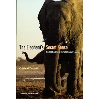 The Elephant’s Secret Sense: The Hidden Life of the Wild Herds of Africa