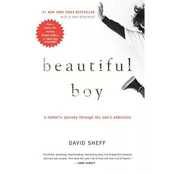 Beautiful Boy: A Father’s Journey Through His Son’s Addiction