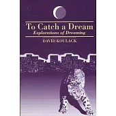 To Catch a Dream: Explorations of Dreaming