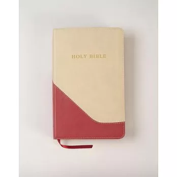 Holy Bible: King James Version, Brick Red/sand, Imitation Leather, Personal Size Giant Print Reference Bible