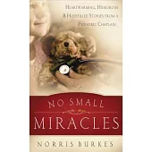 No Small Miracles: Heartwarming, Humorous, & Hopefilled Stories from a Pediatric Chaplain