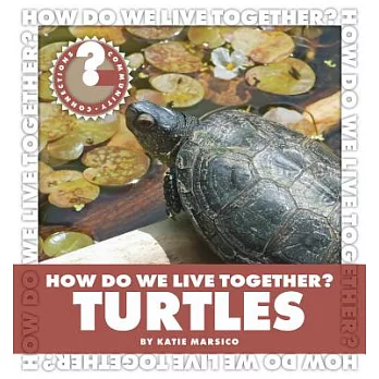 Turtles /