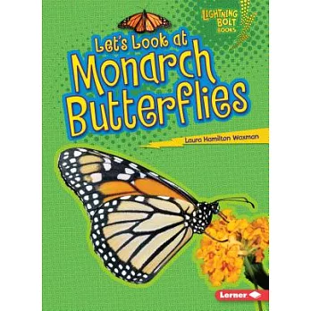 Let’s Look at Monarch Butterflies
