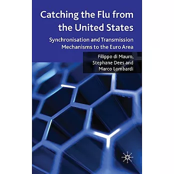 Catching the Flu from the United States: Synchronisation and Transmission Mechanisms to the Euro Area