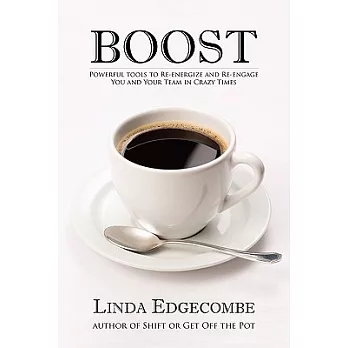 Boost!: Powerful Tools to Re-Energize and Re-Engage You and Your Team in Crazy Times