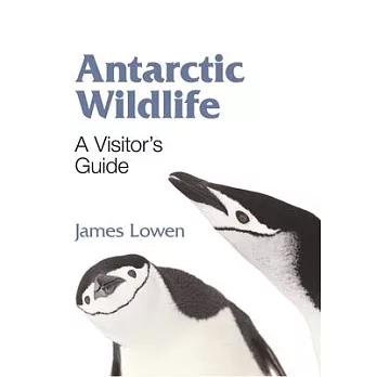 Antarctic Wildlife: A Visitor’s Guide