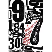 The Number Mysteries: A Mathematical Odyssey Through Everyday Life