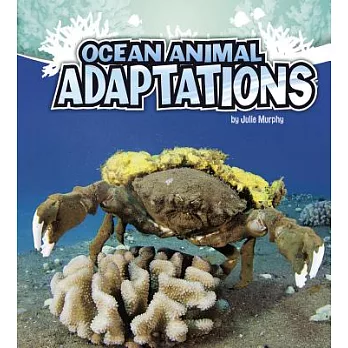 Ocean animal adaptations