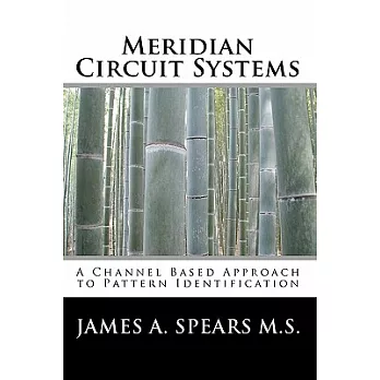 Meridian Circuit Systems: A Channel Based Approach to Pattern Identification
