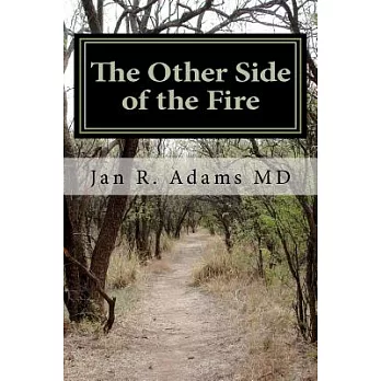 The Other Side of the Fire: A Spiritual Guide: Turning Tragedy into Triumph