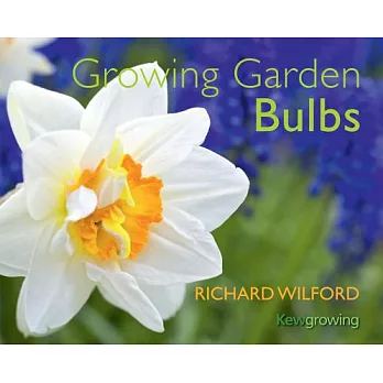 Growing Garden Bulbs