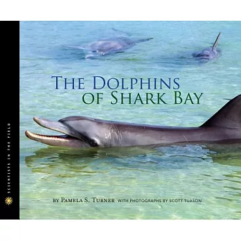 The dolphins of Shark Bay