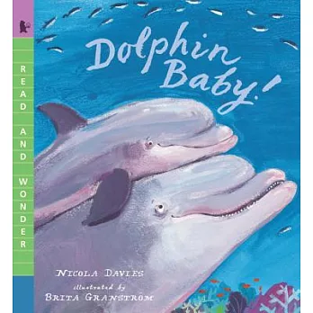 Dolphin baby!