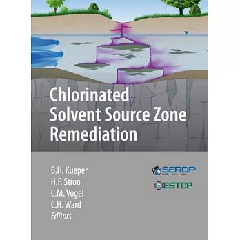 Chlorinated Solvent Source Zone Remediation