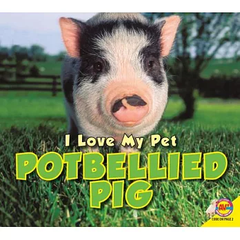 Potbellied pig