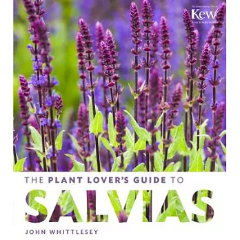 The Plant Lover’s Guide to Salvias