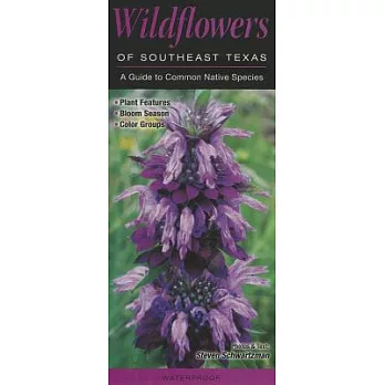 Wildflowers of Southeast Texas: A Guide to Common Native Species