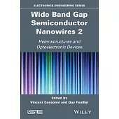 Wide Band Gap Semiconductor Nanowires 2: Heterostructures and Optoelectronic Devices