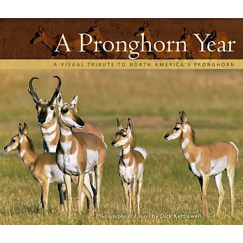 A Pronghorn Year: A Visual Tribute to North America’s Pronghorn