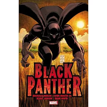Black Panther: Who Is the Black Panther