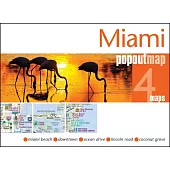 Miami Popout Map