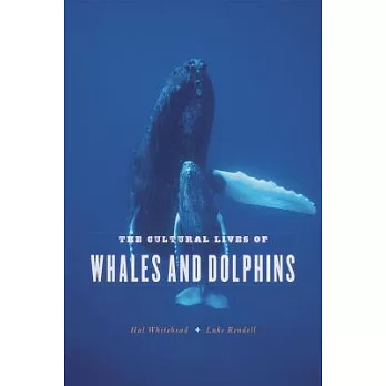 The cultural lives of whales and dolphins
