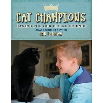 Cat Champions: Caring for Our Feline Friends