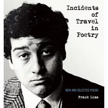 Incidents of Travel in Poetry: New and Selected Poems