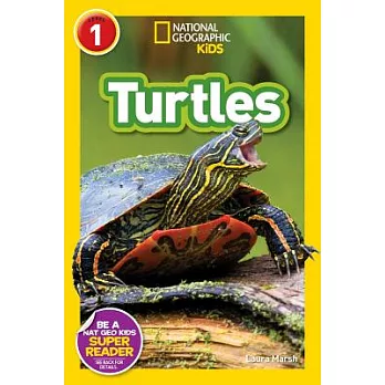 Turtles /