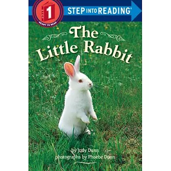 The little rabbit /