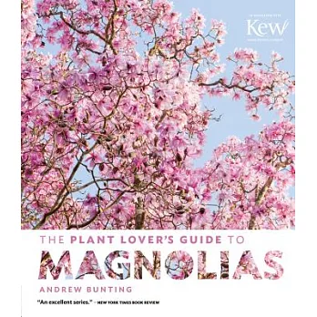 The Plant Lover’s Guide to Magnolias