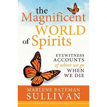 The Magnificent World of Spirits: Eyewitness Accounts of Where We Go When We Die
