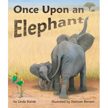 Once upon an Elephant