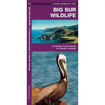 Big Sur Wildlife: A Folding Pocket Guide to Familiar Regional Animals