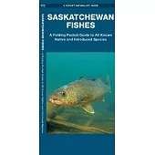 Saskatchewan Fishes: A Folding Pocket Guide to All Known Native and Introduced Species