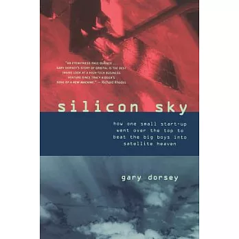 Silicon Sky