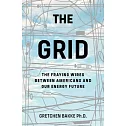The Grid: The Fraying Wires Between Americans and Our Energy Future