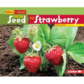 From seed to strawberry /