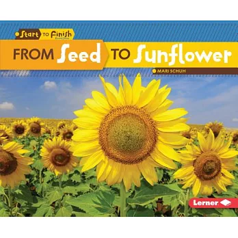 From seed to sunflower /