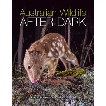 Australian Wildlife After Dark