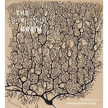 The Beautiful Brain: The Drawings of Santiago Ramon Y Cajal