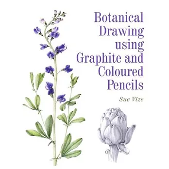 Botanical Drawing Using Graphite and Coloured Pencils