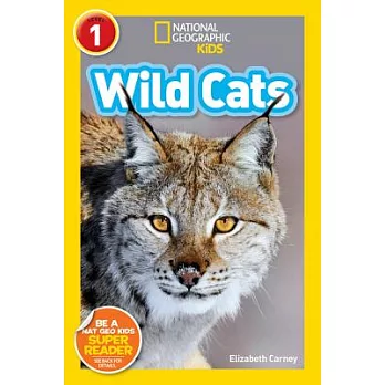 Wild cats /